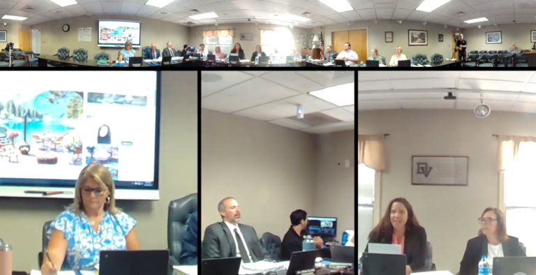 A screenshot from a recent Delaware Valley School District board meeting available on YouTube.