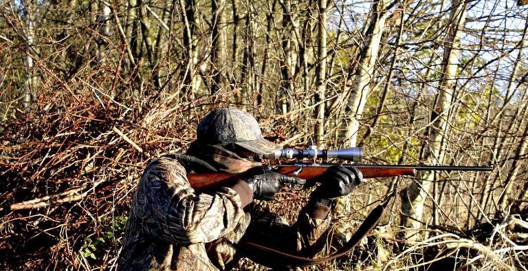Hunting, trapping licenses now on sale