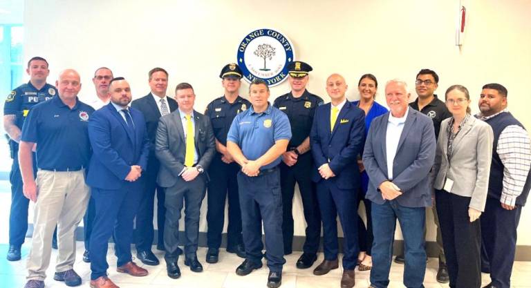 Members of the Orange County cannabis task force.