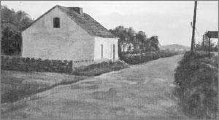 The Beauty of Ireland'