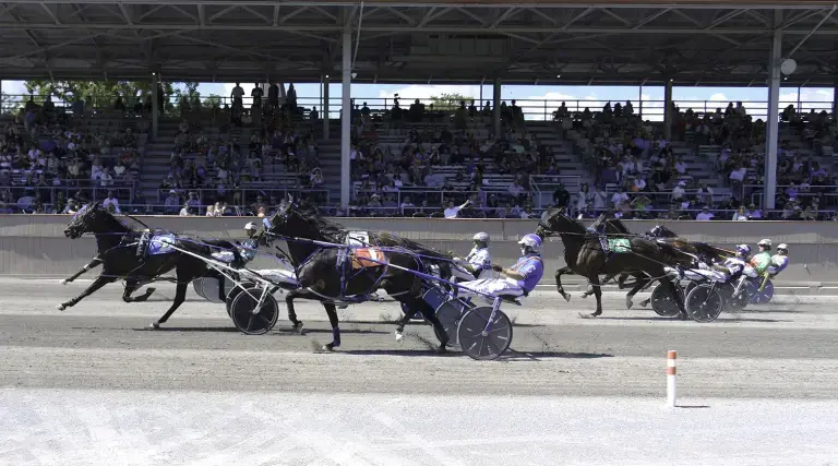 The Harness Racing Museum and Hall of Fame in Goshen, N.Y., will be open during the races at Goshen Historic Track on Sunday, Sept. 6, and also on Labor Day, Monday, Sept. 7.