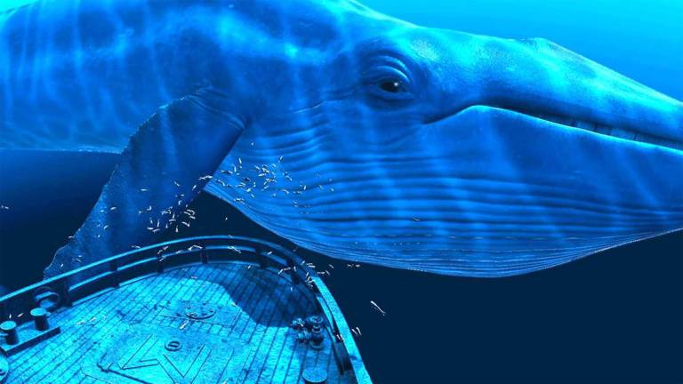 This is a screen shot of a whale from the program, TheBlu, one of three pregenerated underwater wildlife virtual reality encounters available at the Monroe Free Library.