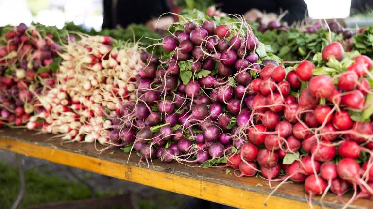 Orange County farmers’ markets