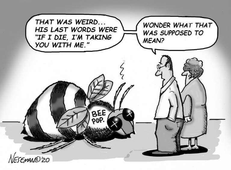 Cartoon HONEY BEE Cartoon HONEY BEE