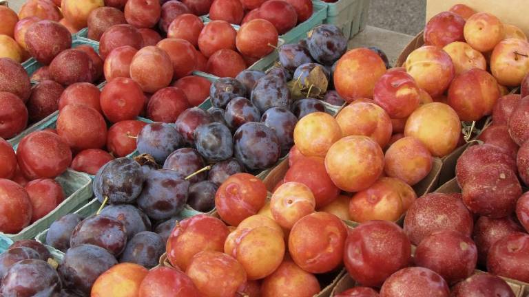 Farmers market not returning for 2026 season