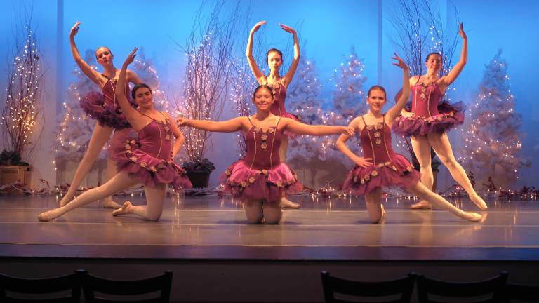 Annual Nutcracker/Holiday Show